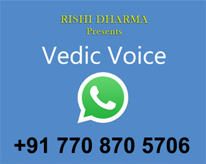 Vedic voice
